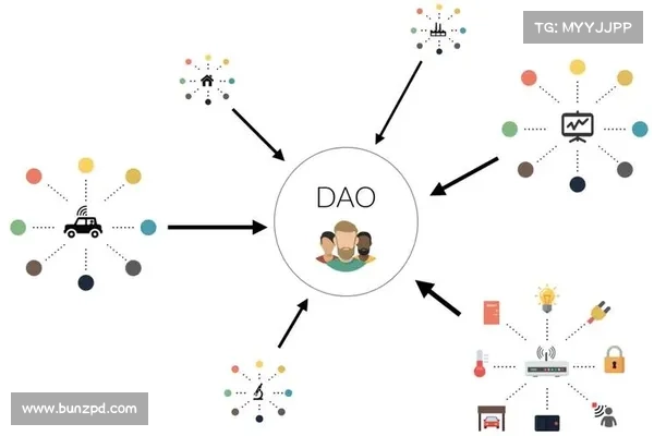 DAO的贡献者漏斗:用户、社区成员、贡献者、团队 DAO的贡献者漏斗:用户、社区成员、贡献者、团队