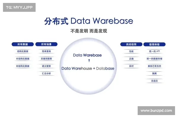数据分析 Base 快速增长背后的驱动力 数据分析 Base 快速增长背后的驱动力